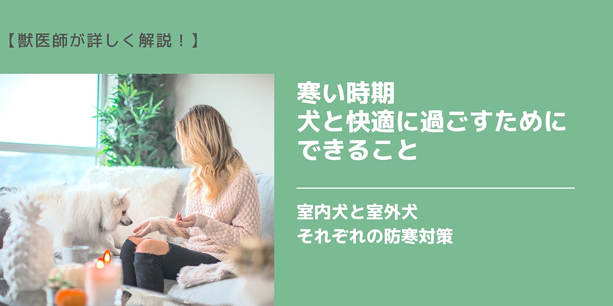 タイトル寒い時期犬と快適に過ごすためにできること