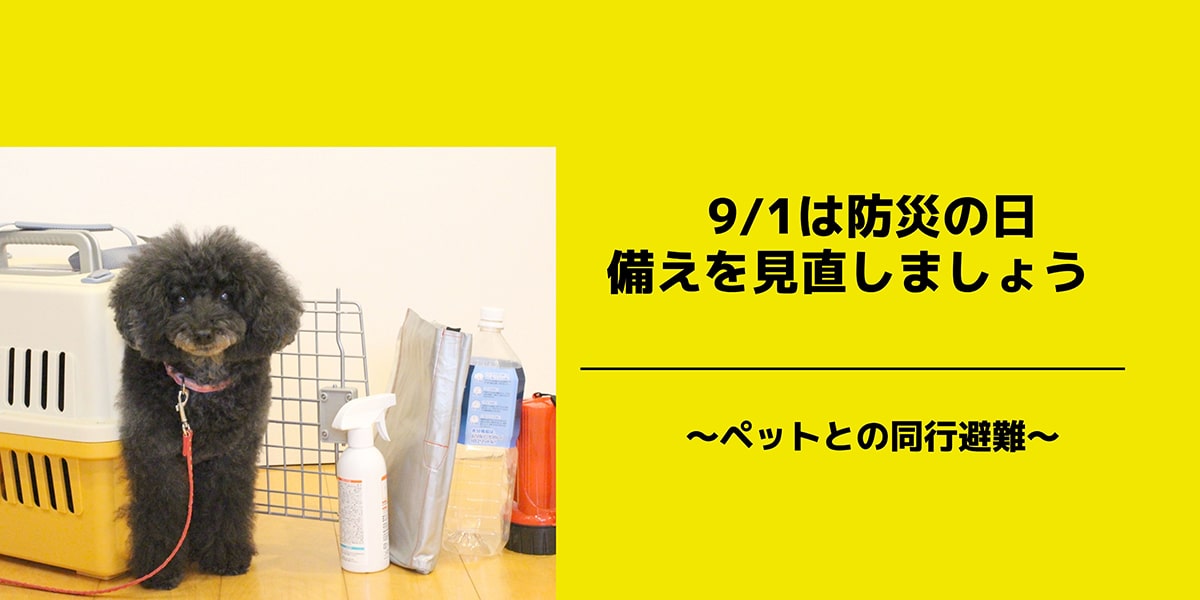 タイトル9/1は防災の日備えを見直しましょう